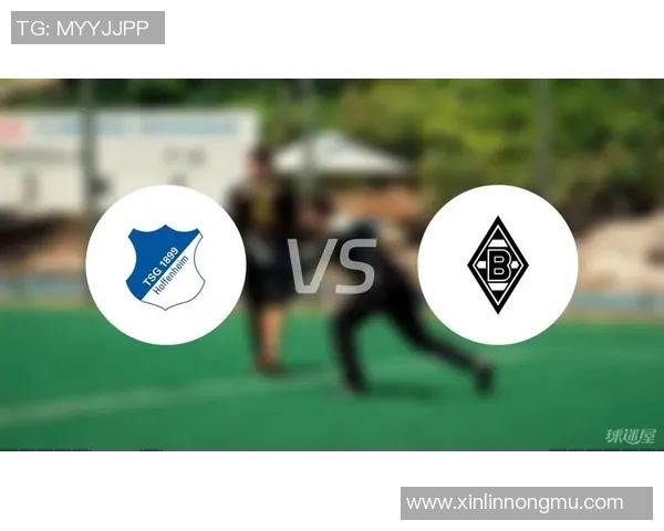 霍芬海姆迎战菜比锡两队争锋激战一触即发