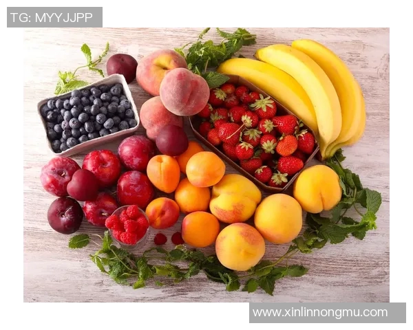 探索水果与蔬菜的奇妙世界：营养搭配与健康生活的新秘密