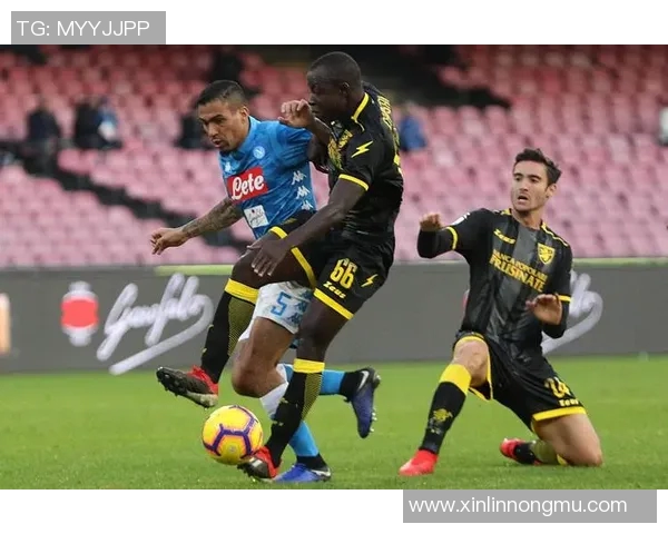 荷乙精英与特尔思达激战在即谁能在这场较量中脱颖而出