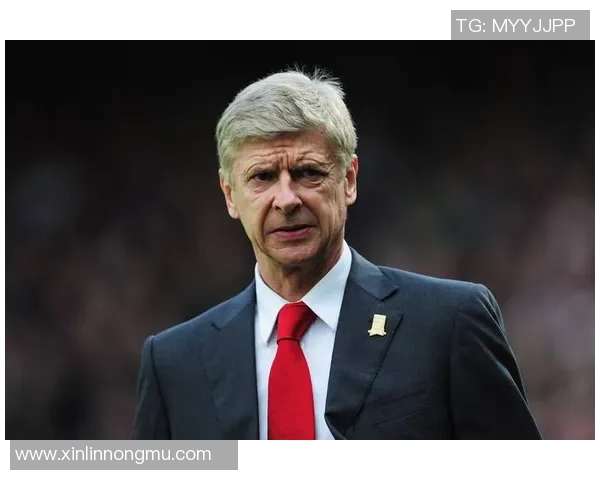 阿森纳新赛季战术革新深度解析 球队重建与青训系统的未来展望