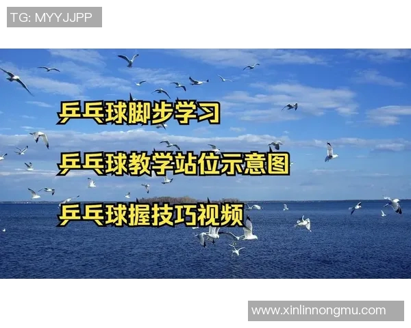 从零基础到高手之路：全面掌握乒乓球速度技巧与训练方法