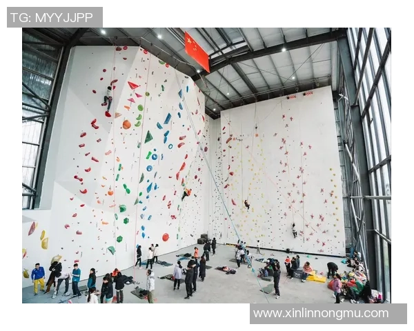 南京攀岩队状态分析与表现评估探讨及未来发展建议