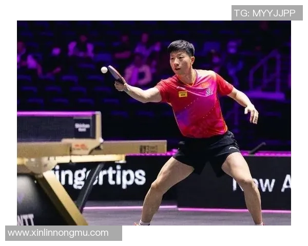 乒乓球的魅力与灵动：深入杭州乒乓球队的训练与战术揭秘