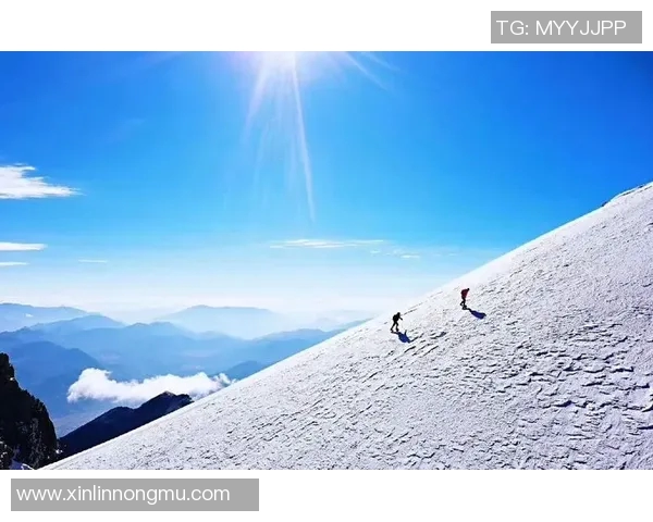 周伟独家揭秘攀岩技巧与心得分享助你轻松征服高峰