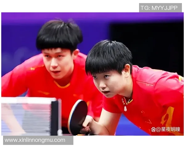 杭州乒乓球队战术实力强劲荣登全国乒乓球战术排行榜第七名