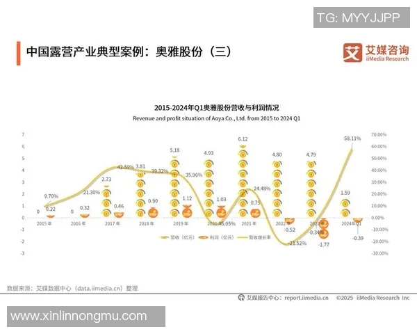深圳极限运动队灵活性探讨与发展现状分析