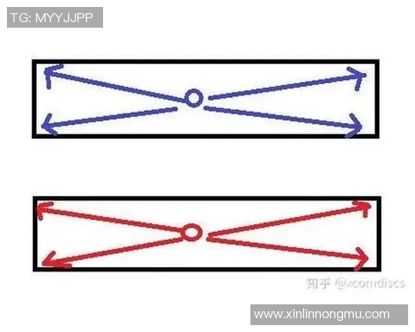 南京飞盘队区域防守体系的战术解析与实战应用探讨