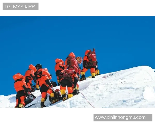 西安飞盘队强势登顶最新飞盘状态TOP10榜单引发热议