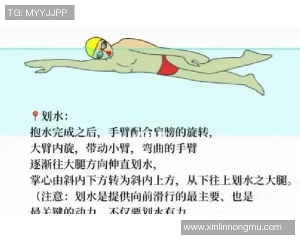 提升自由泳技巧的五个关键要点，让你游得更快更轻松