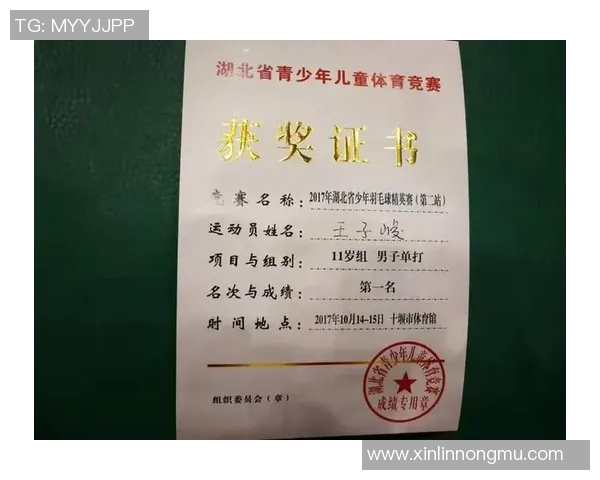 重庆羽毛球队实力强劲荣登全国羽毛球力量排行榜第10名 重庆羽毛球队实力强劲荣登全国羽毛球力量排行榜第10名
